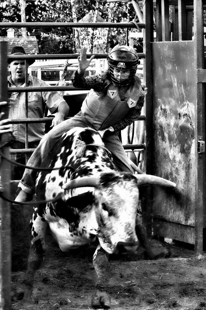 Photograph by Oleg Chemodanov