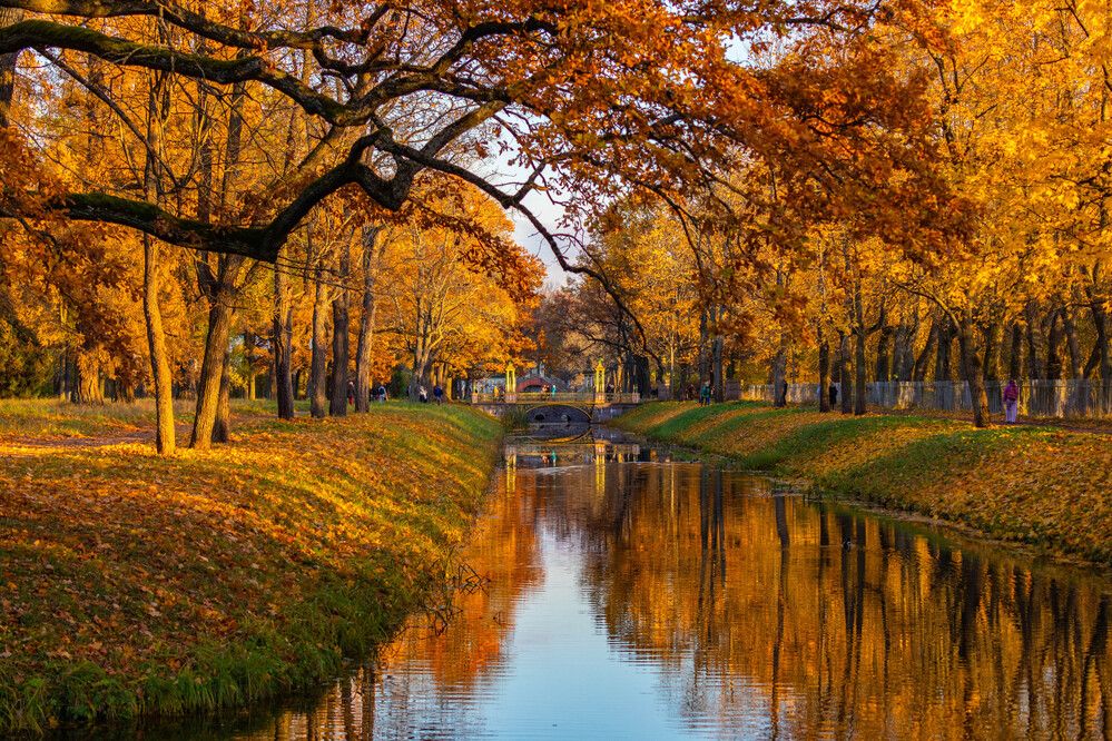 Photograph by Svetlana Porokhovnikova