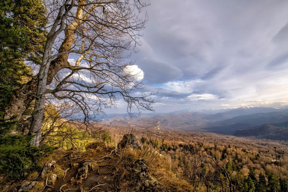 Photograph by Ирина Ульянова