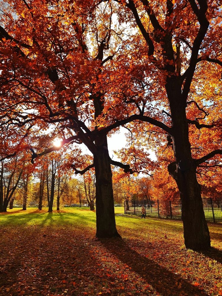 Photograph by Svetlana Porokhovnikova