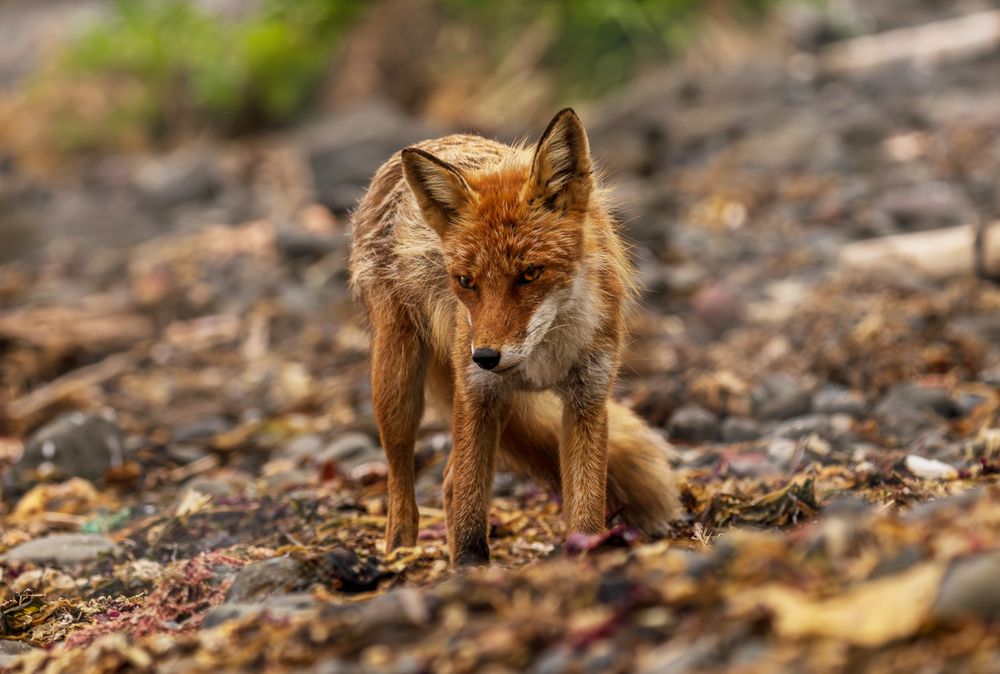 Photograph by Ольга Ченцова