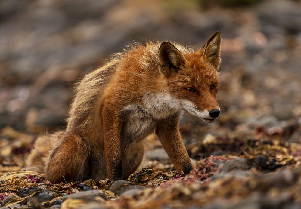 Photograph by Ольга Ченцова