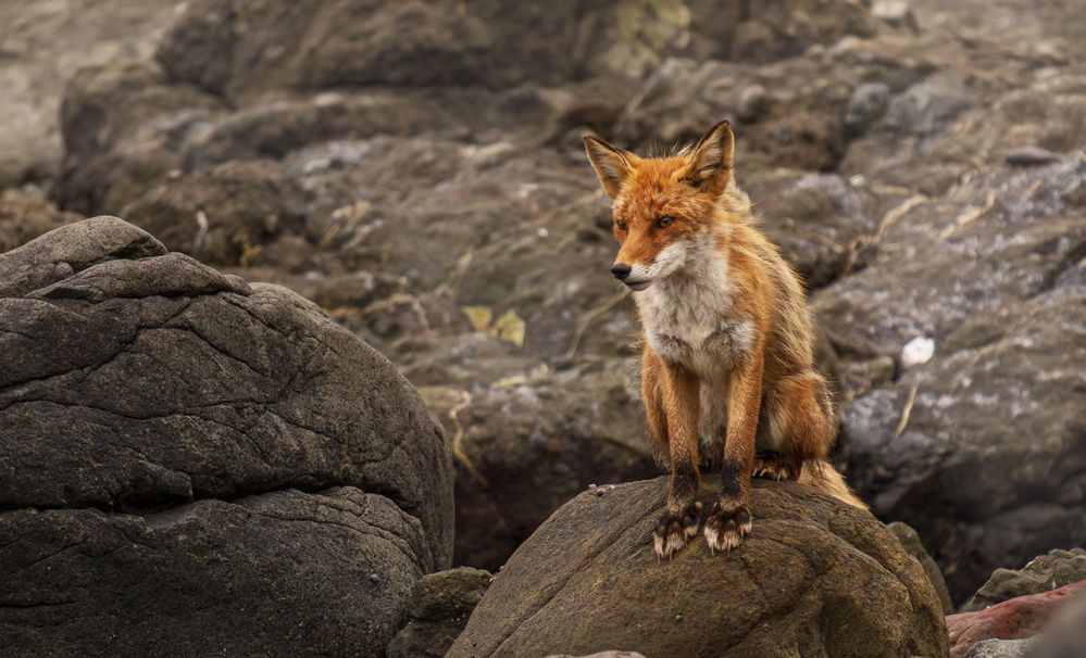 Photograph by Ольга Ченцова