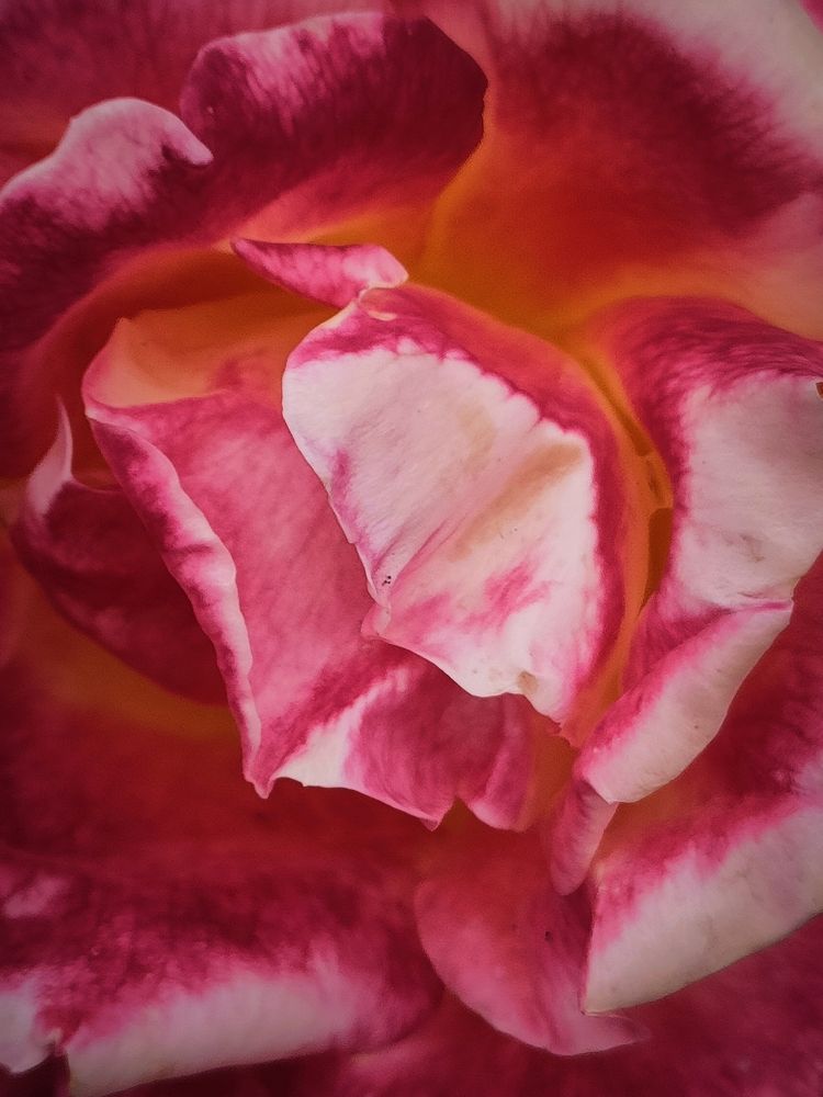 Photograph by Елена Егорова