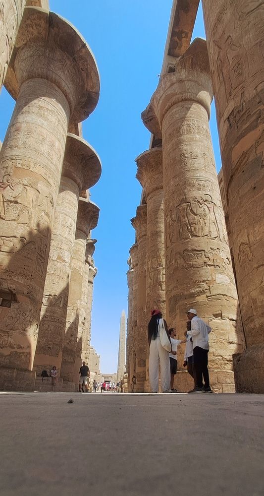 Фотография автора Adel elqamhawi Mohamed