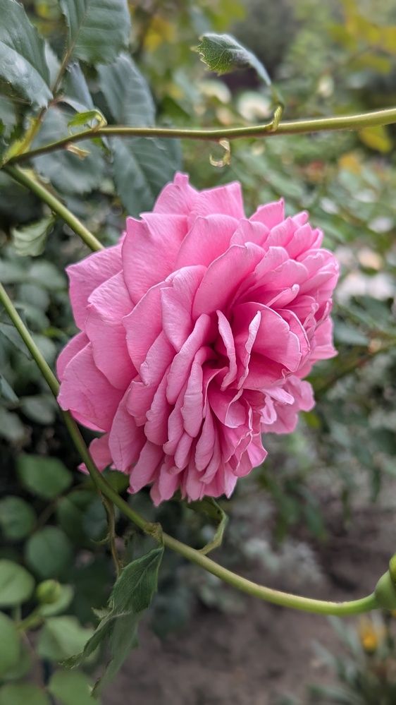 Фотография автора Сергей Коншин