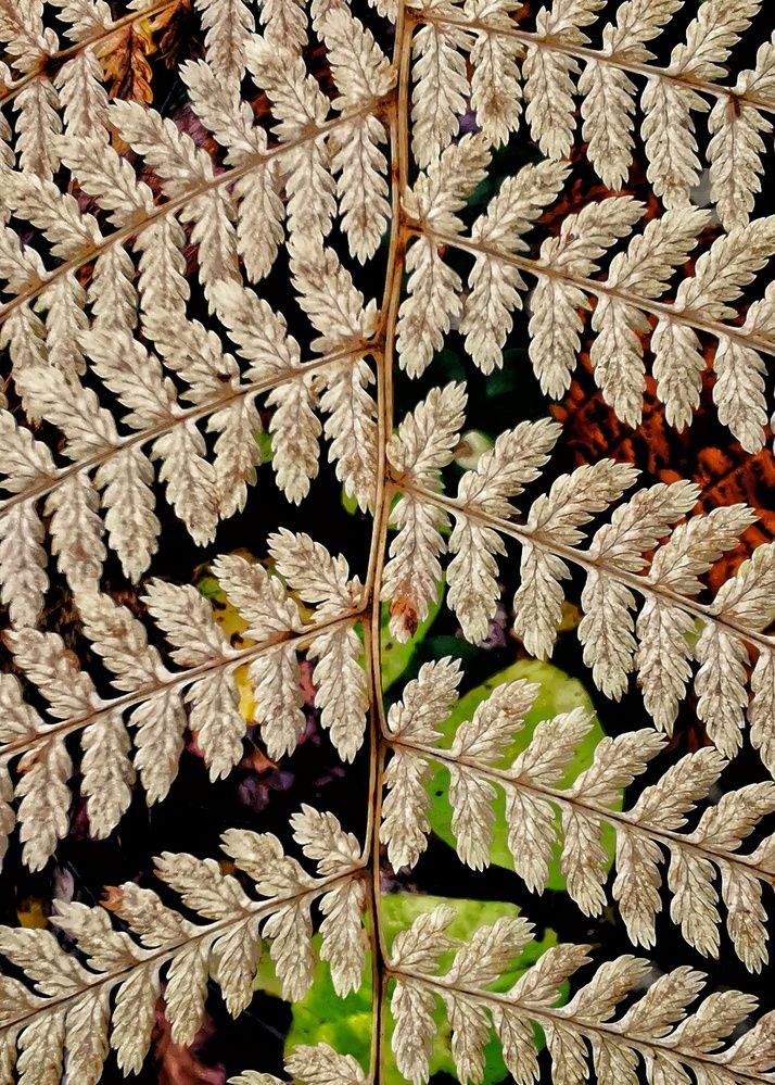 Photograph by Елена Артёменко