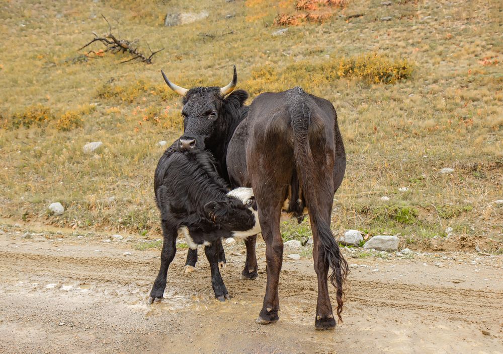 Photograph by Елена Павлова