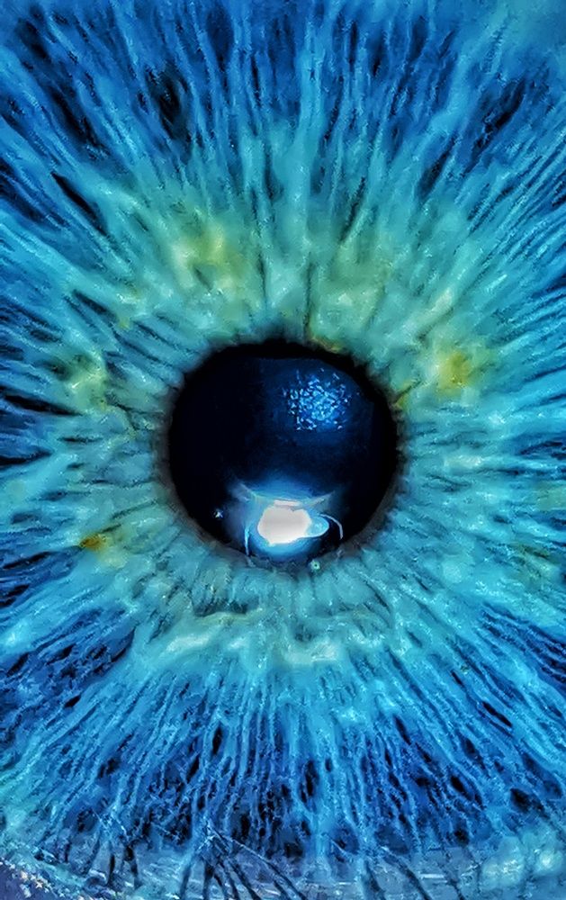 Photograph by Елена Артёменко