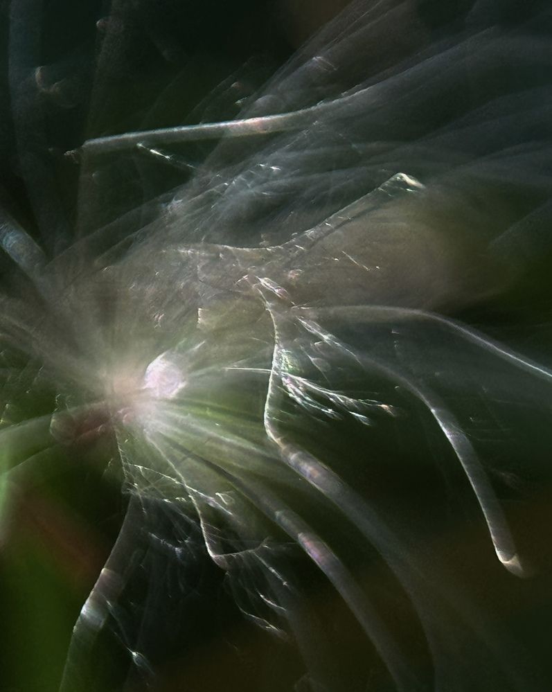 Фотография автора Галина Санчирова