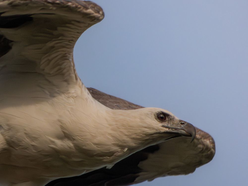 Photograph by Binara Divakara