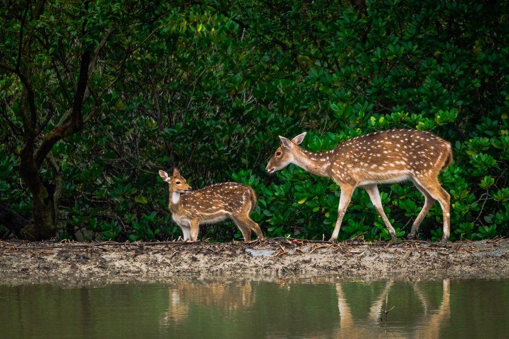Moments of Fathers and sons