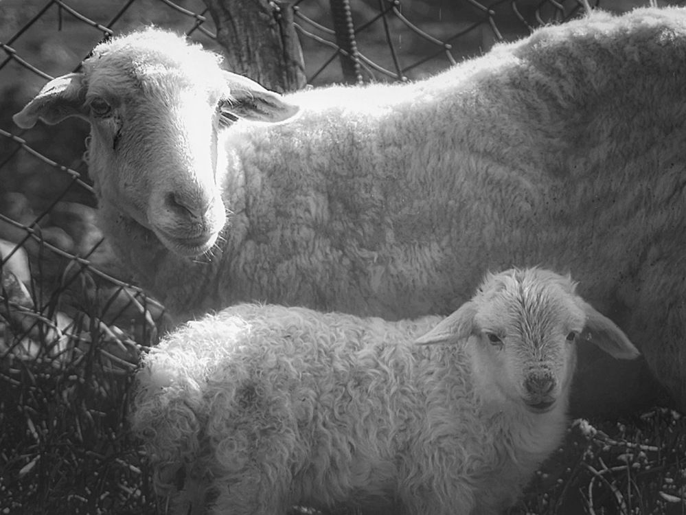 Фотография автора Екатерина Першина