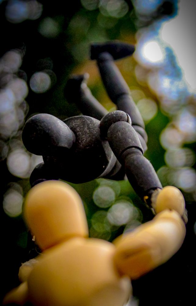 Photograph by Luís Miguel Camacho Silva