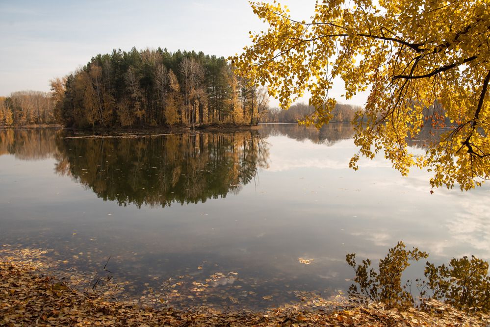 Photograph by Наталья Сорокина