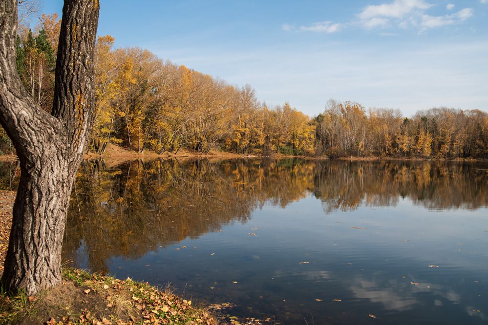 Photograph by Наталья Сорокина