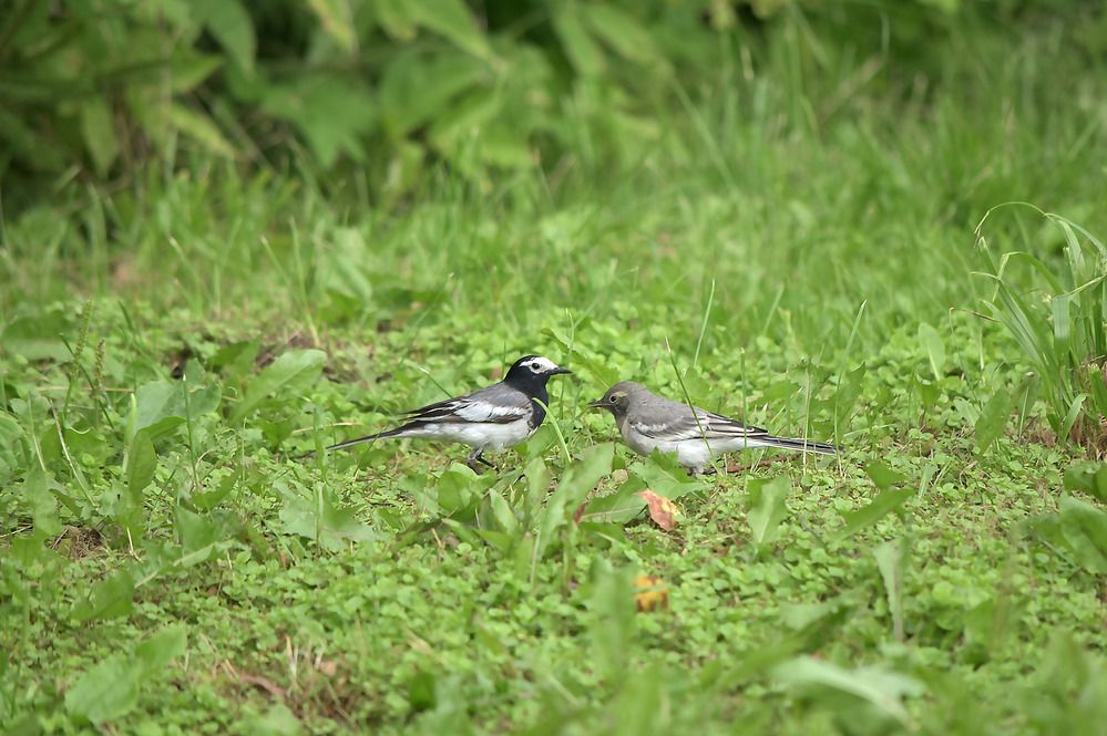 Photograph by Наталья Сорокина