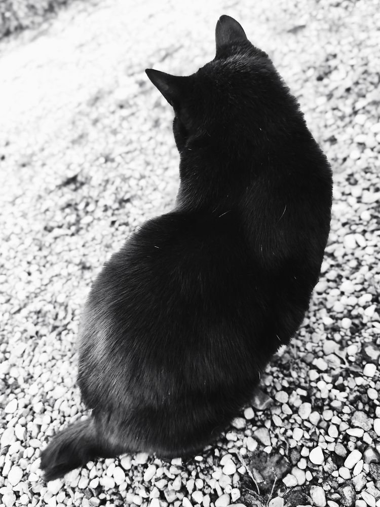 Фотография автора Татьяна Мишкина