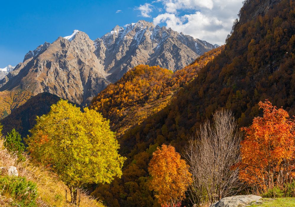 Фотография автора Олег Кожухов