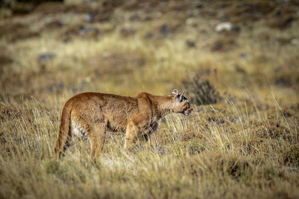 Photograph by Vita Potomova