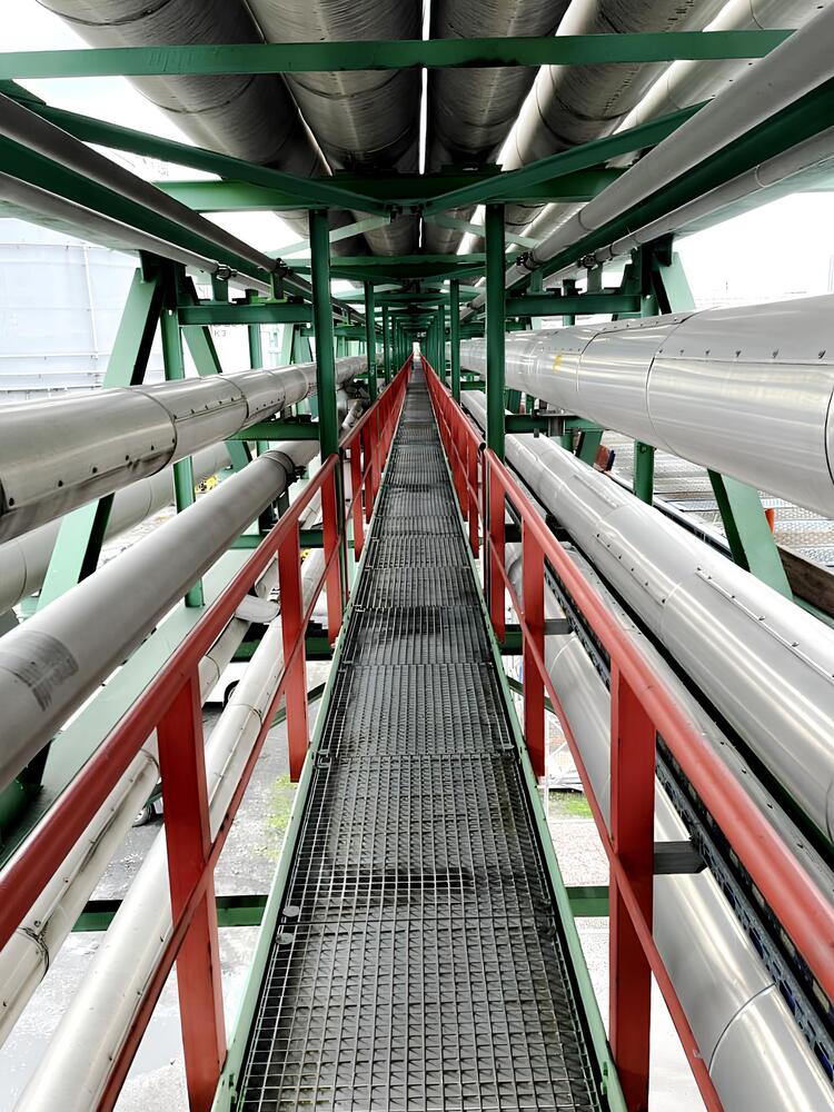 Photograph by Елена Симонова