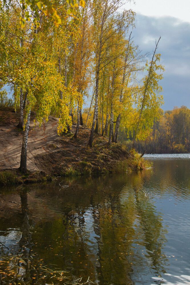 Фотография автора Екатерина Першина