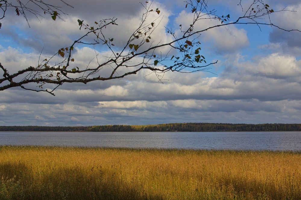 Фотография автора Екатерина Першина