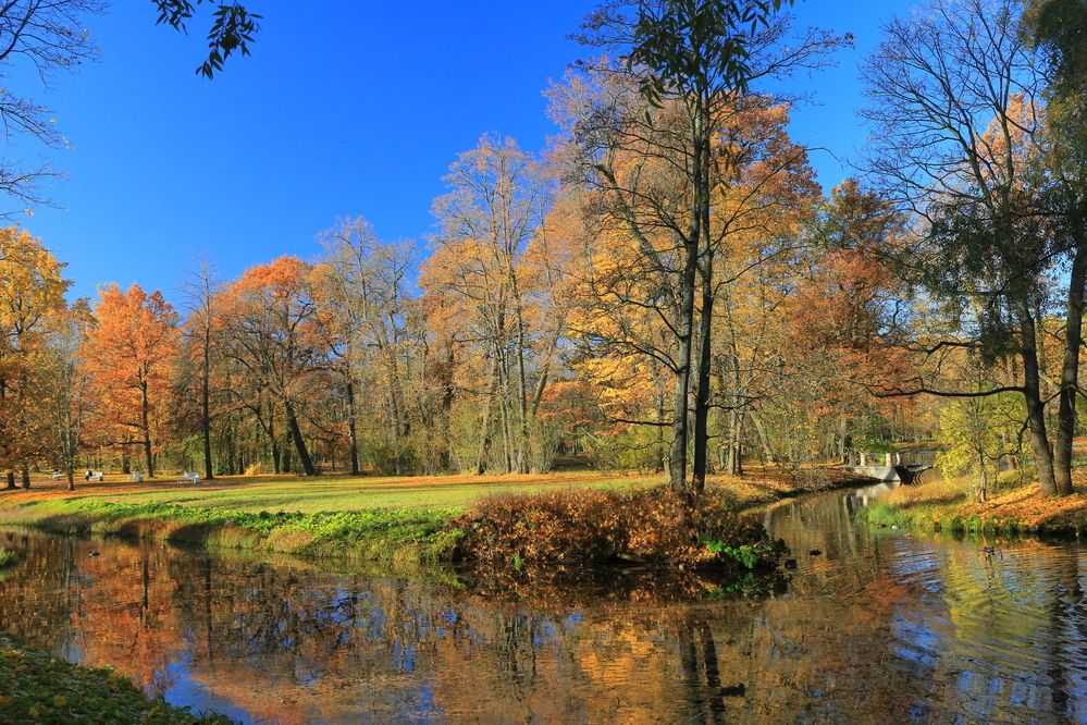 Photograph by Николай Бакулин