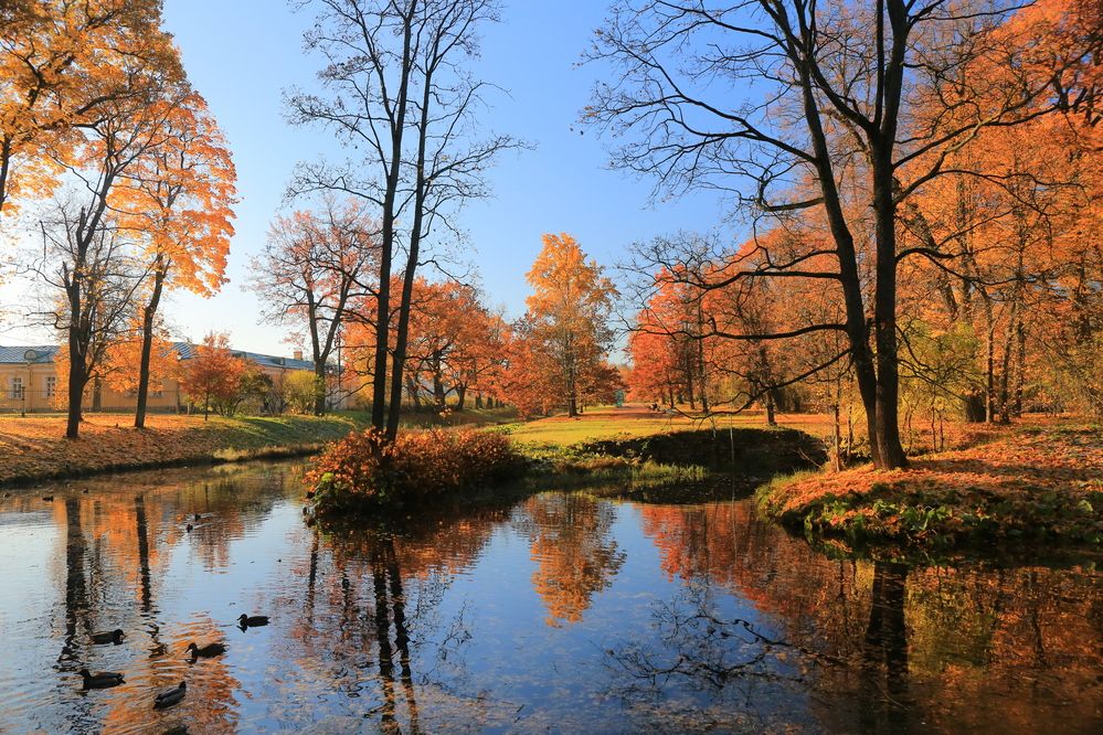 Photograph by Николай Бакулин