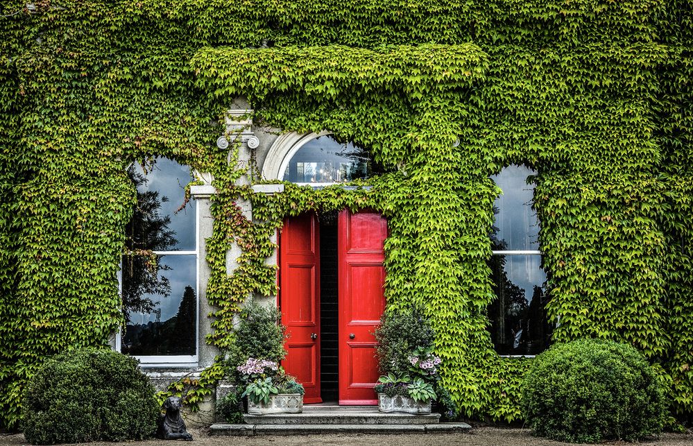 Красная дверь