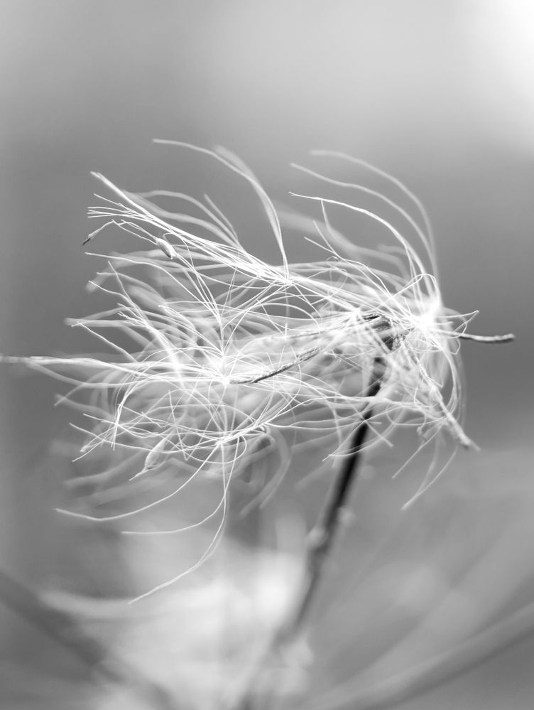 Photograph by Юлия Некрасова