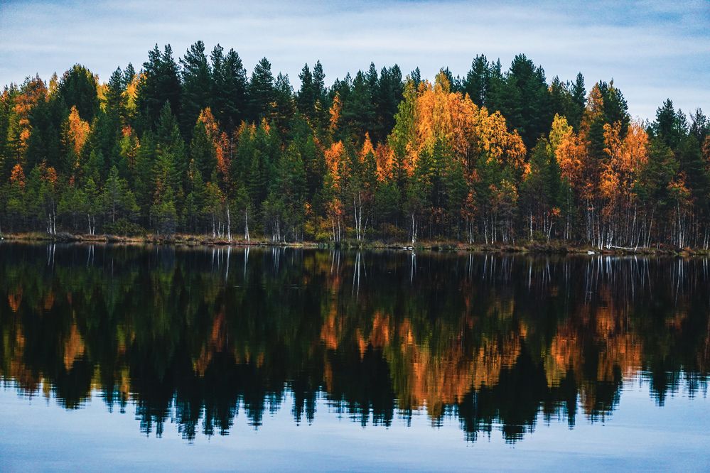 Photograph by Светлана Каравайская