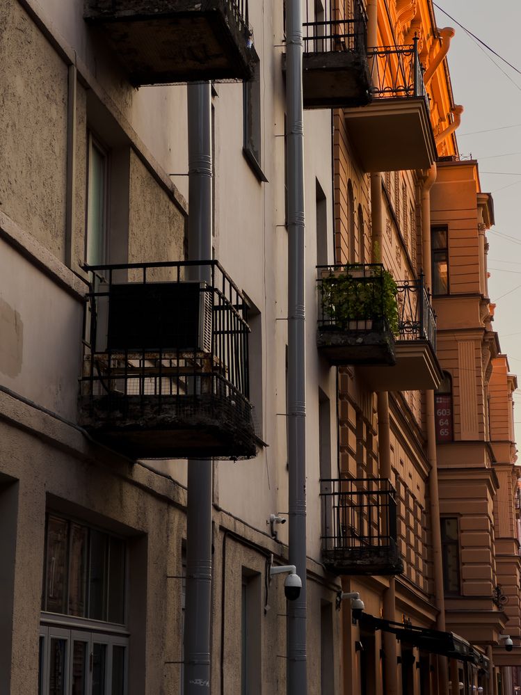 Photograph by Ася Жгенти