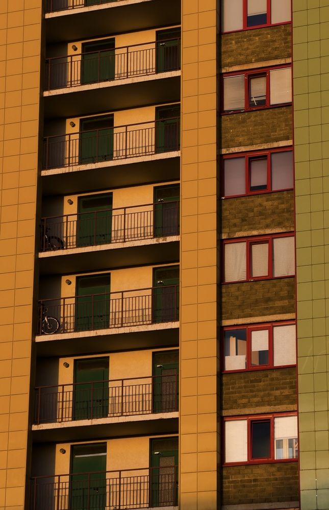 Photograph by Ася Жгенти