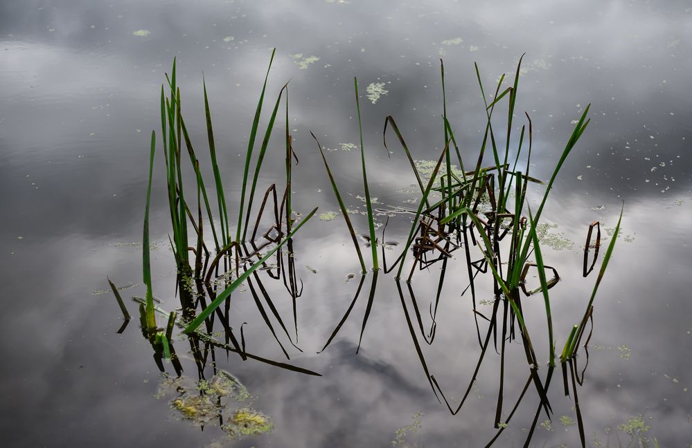 Фотография автора Maxim Bondar