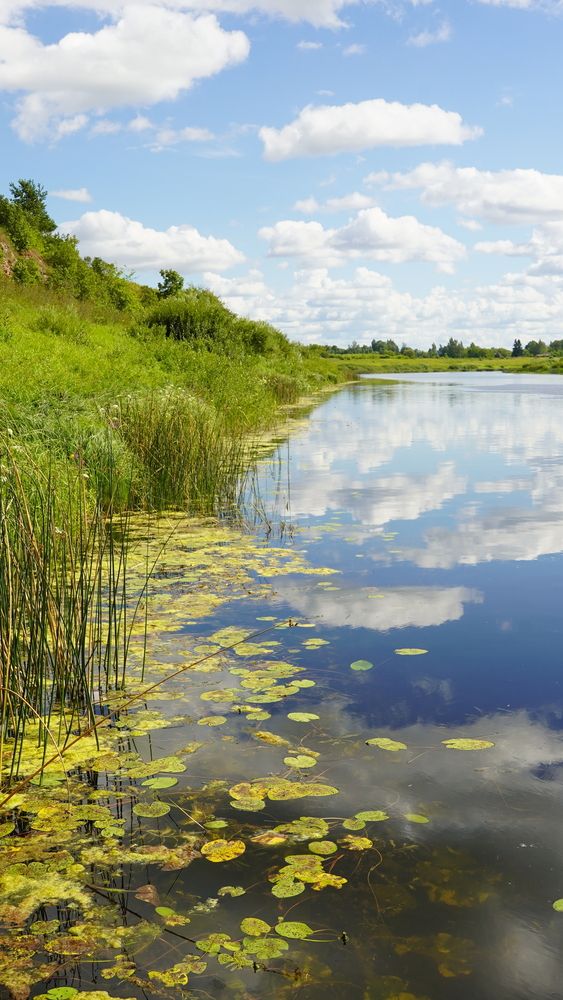 Photograph by Ирина Яровая
