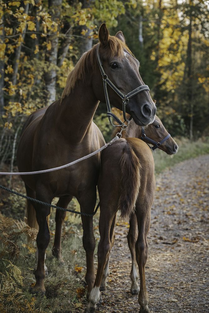 Photograph by Anna Sindikayeva