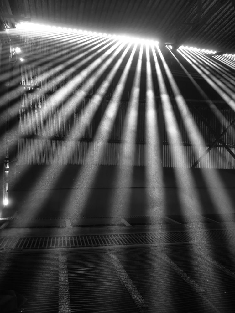 Фотография автора Андрей Шестаков