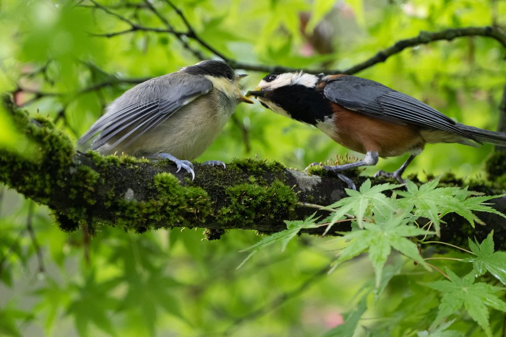 Photograph by Nonnie