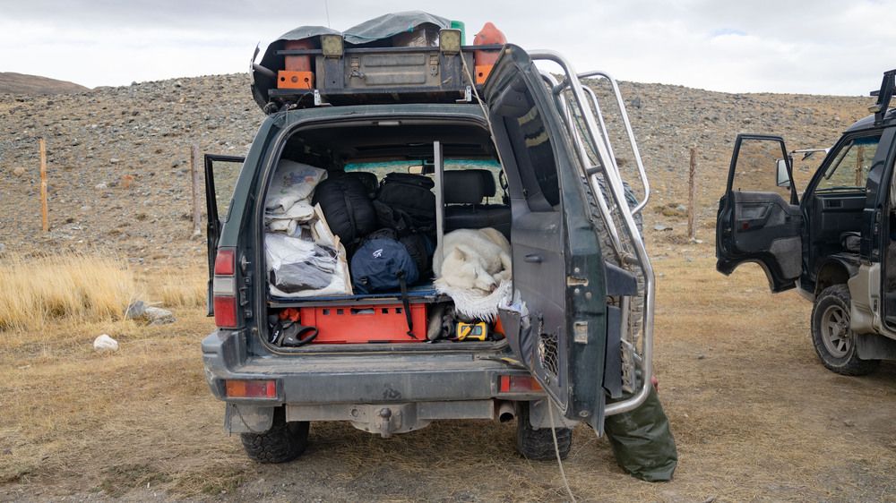 Photograph by Владимир Коровин