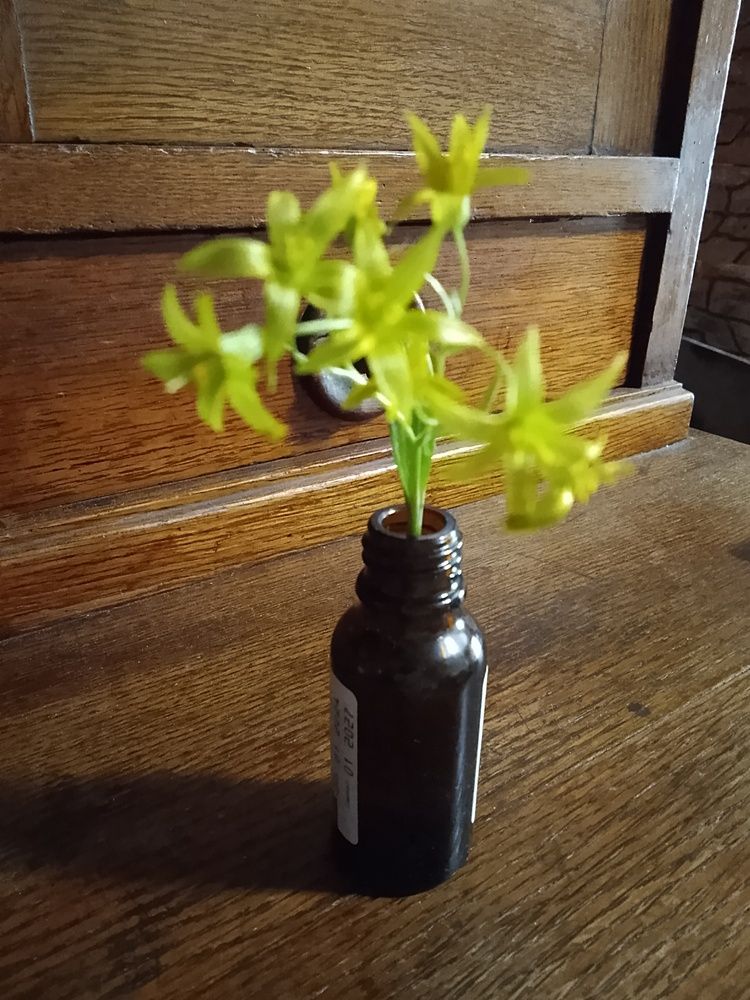 Полевые цветы.