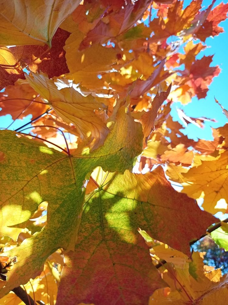 Photograph by Наталья Сырых