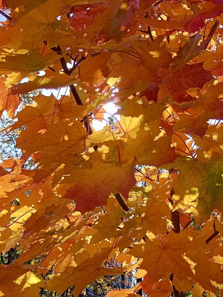 Photograph by Наталья Сырых