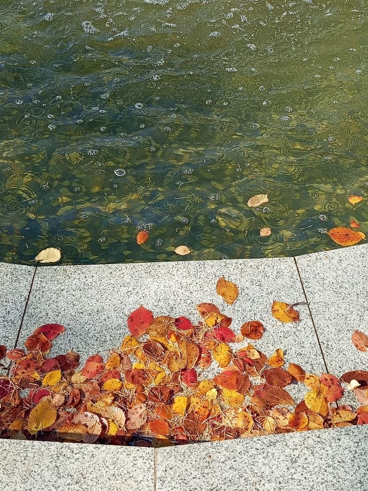 Photograph by Наталья Сырых