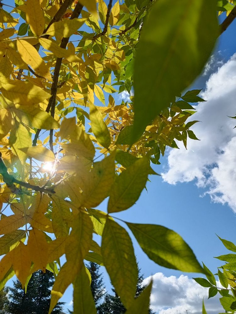 Photograph by Наталья Сырых