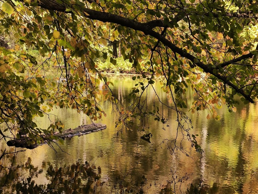 Photograph by Наталия