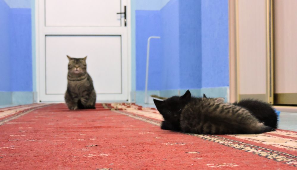 Родители и дети / Parents and children