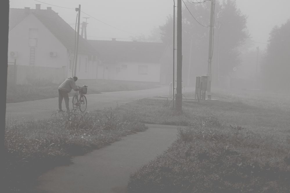 Photograph by Szilvia Farkas