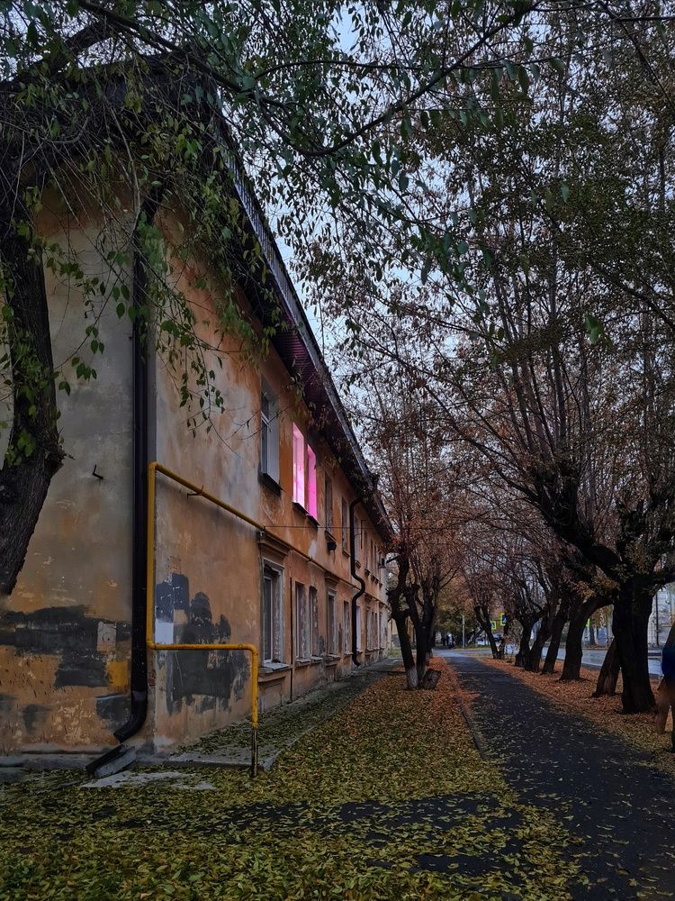 Photograph by Анастасия Мусихина