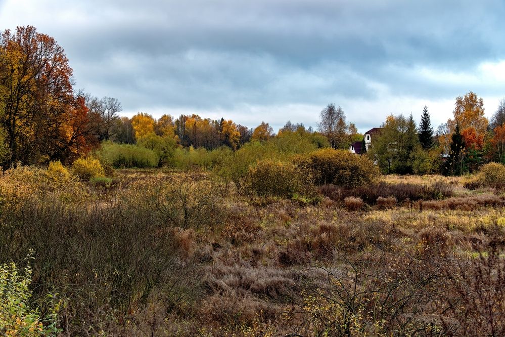 Photograph by Михаил Косолапов